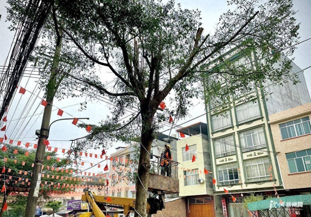 浦北县乐民镇：从垃圾桶到幸福生活，一桩桩民生小事如何绘就宜居新风貌？  第1张