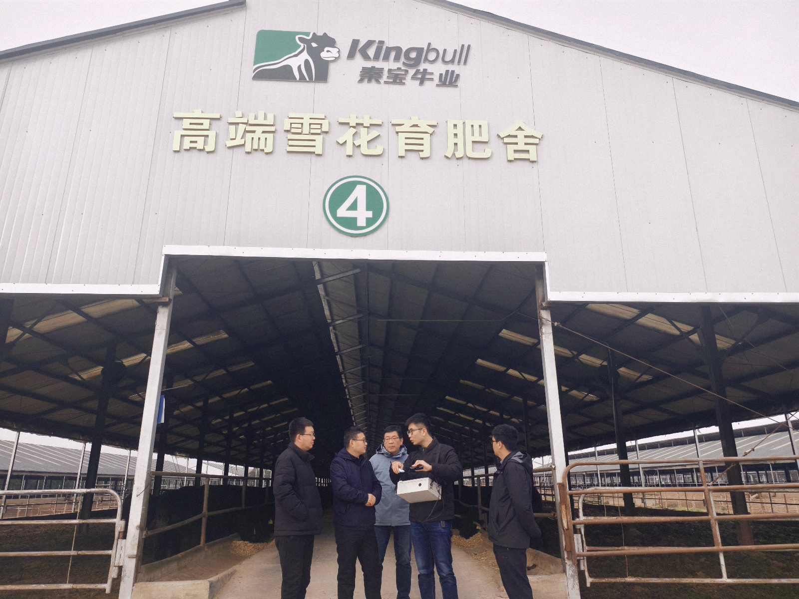 颠覆传统！西北农林科大研发便携式牛只表型采集设备，助力牧场智能化育种  第3张