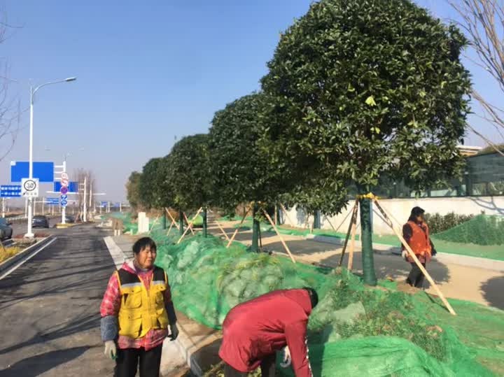 宁盐高速公路扬州段建设取得重大突破，仪征、高邮将迎来通往南京的快速通道  第4张