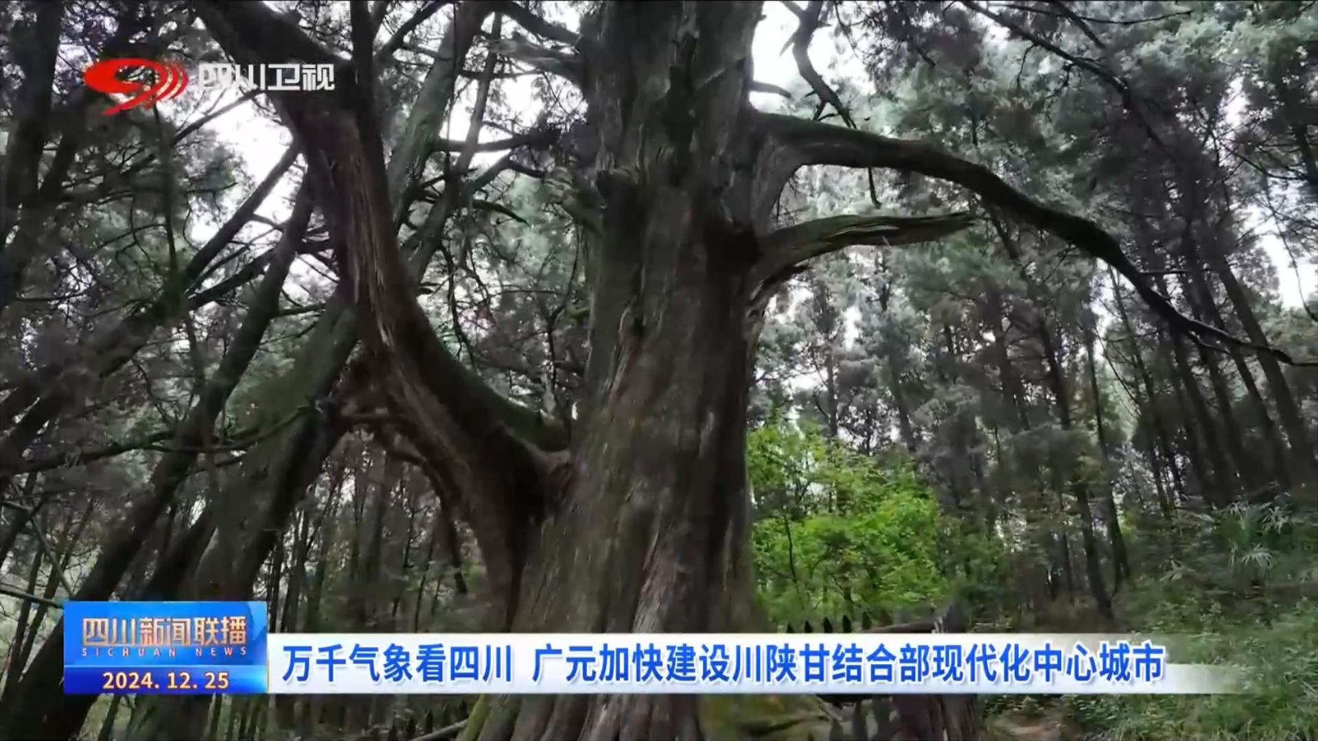 广元专场发布会：探索山区振兴，三大优势转化带来何种惊喜？  第4张