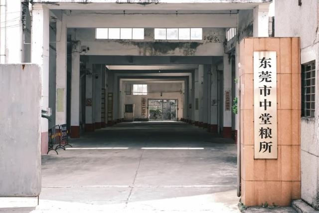探秘东莞中堂镇：9座旧粮仓如何成为时光守护者，见证丰收与历史的厚重？  第5张