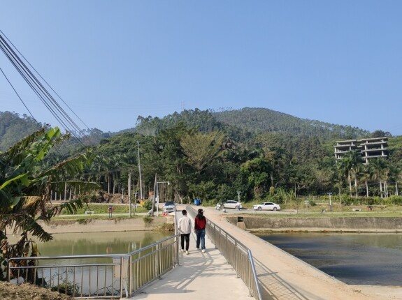 惠阳三和街道：4万平米新材料产业项目启动，年产值预计达8亿元，民生工程同步升级  第2张