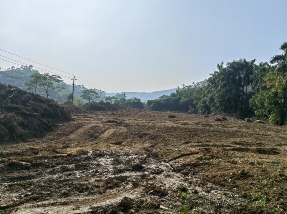 惠阳三和街道：4万平米新材料产业项目启动，年产值预计达8亿元，民生工程同步升级  第3张