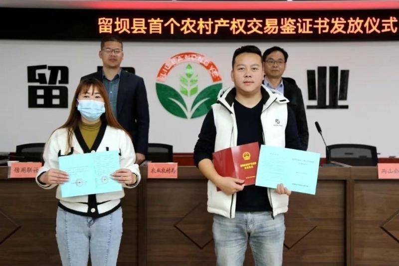 留坝县如何通过农村产权流转交易实现集体和农民双增收？揭秘背后的成功秘诀  第2张