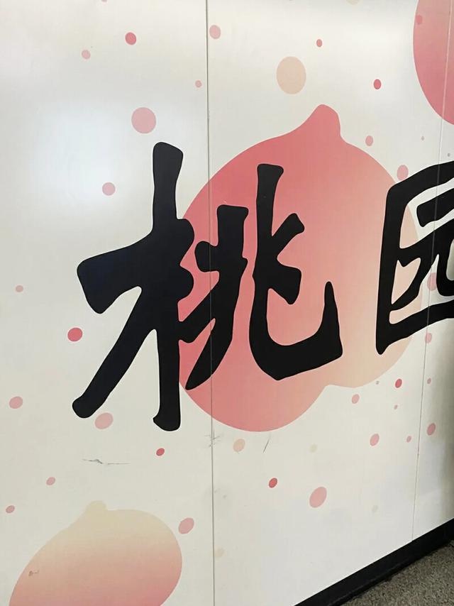 2025年深圳地铁站名大揭秘：大运站带来好运，翻身站让你逆袭成功  第17张