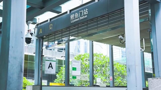 2025年深圳地铁站名大揭秘：大运站带来好运，翻身站让你逆袭成功  第7张