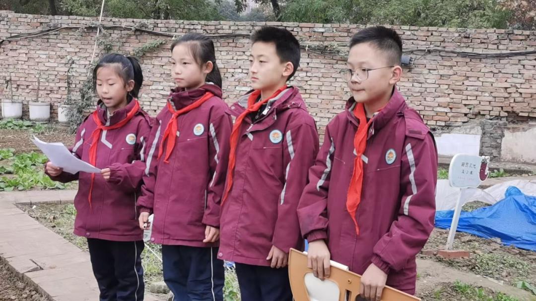 西安市未央区枣园小学：数学与劳动完美结合，孩子们在农垦园里开启数学探秘之旅