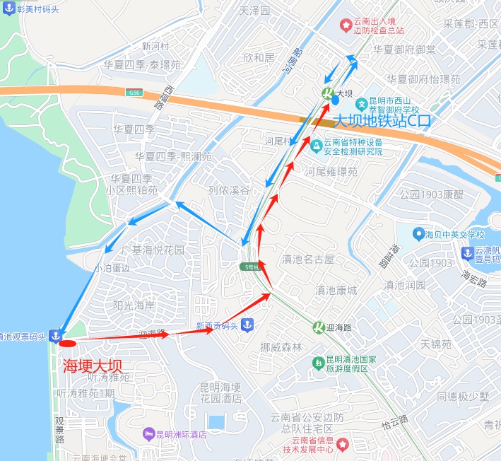 2024上合昆明马拉松：6条定制公交专线+2条摆渡专线，参赛选手免费乘车，昆明公交全力护航赛事  第8张