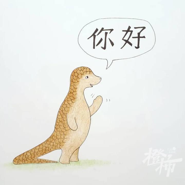 10 月 26 日起，2024 国际熊猫日之自然向好杭州城市行动将搅动全城  第5张