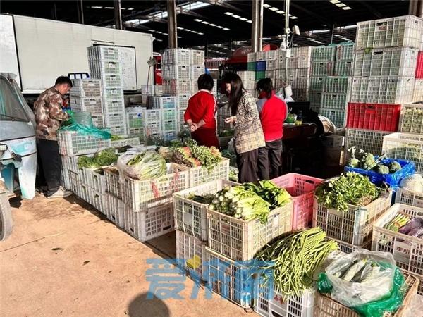 济南菜价普遍下降，部分蔬菜降幅超 50%  第3张