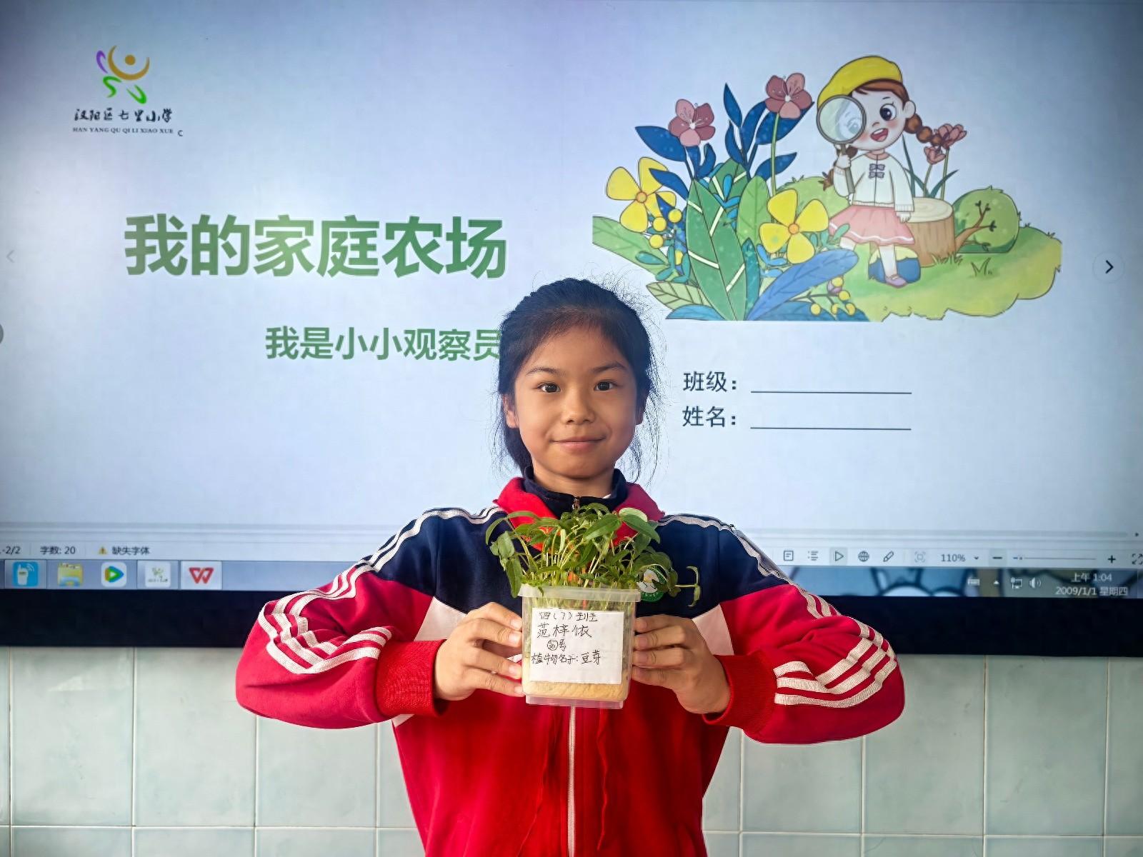 语以观察，劳育成长！七里小学这场语文实践活动太有趣了