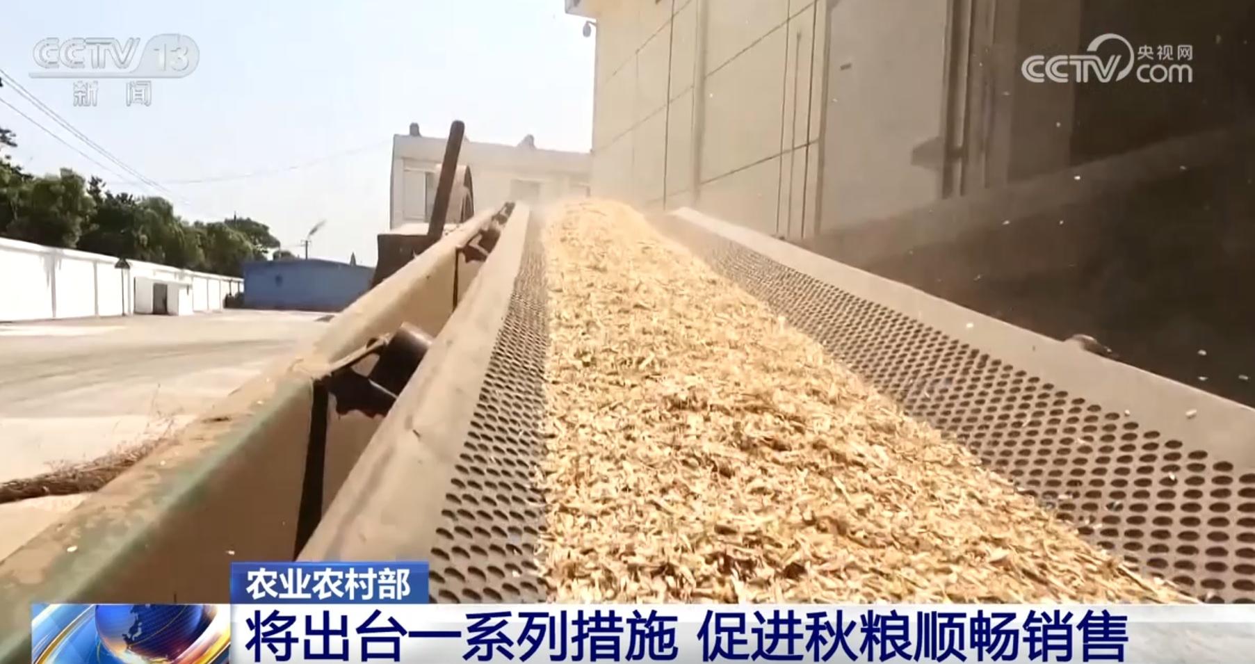 粮食产量预计突破 1.4 万亿斤！我国采取了哪些措施提高单产？  第4张