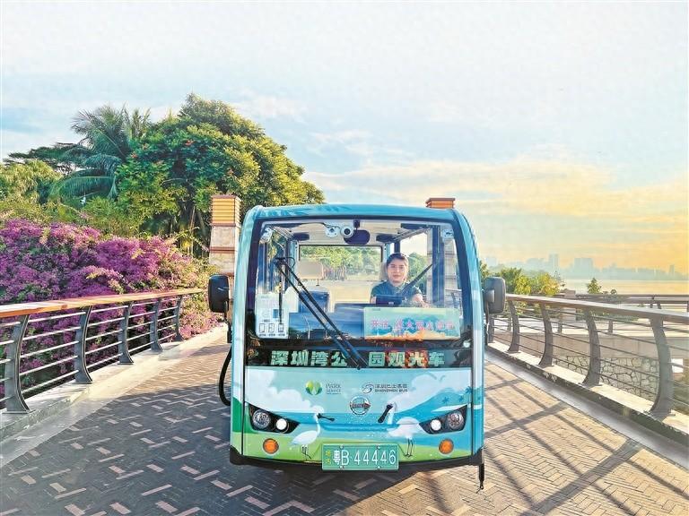 深圳湾公园观光线试运营，快来解锁家门口的滨海新体验