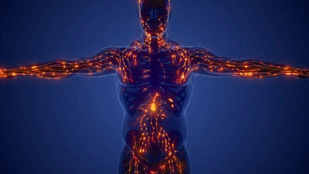 注意！打呼噜竟可能是血癌的信号，你还敢忽视吗？  第1张