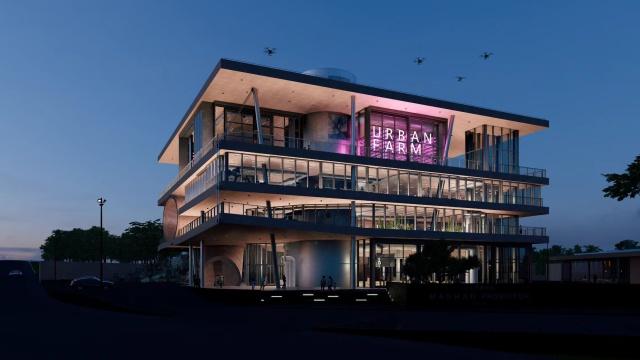 2024 年第四届中国名优锦鲤大赛在济南盛大开幕，千尾锦鲤同场竞技  第3张