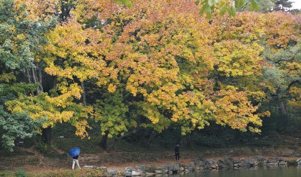 颐和园后溪河，京城秋色打卡地，美如油画  第2张