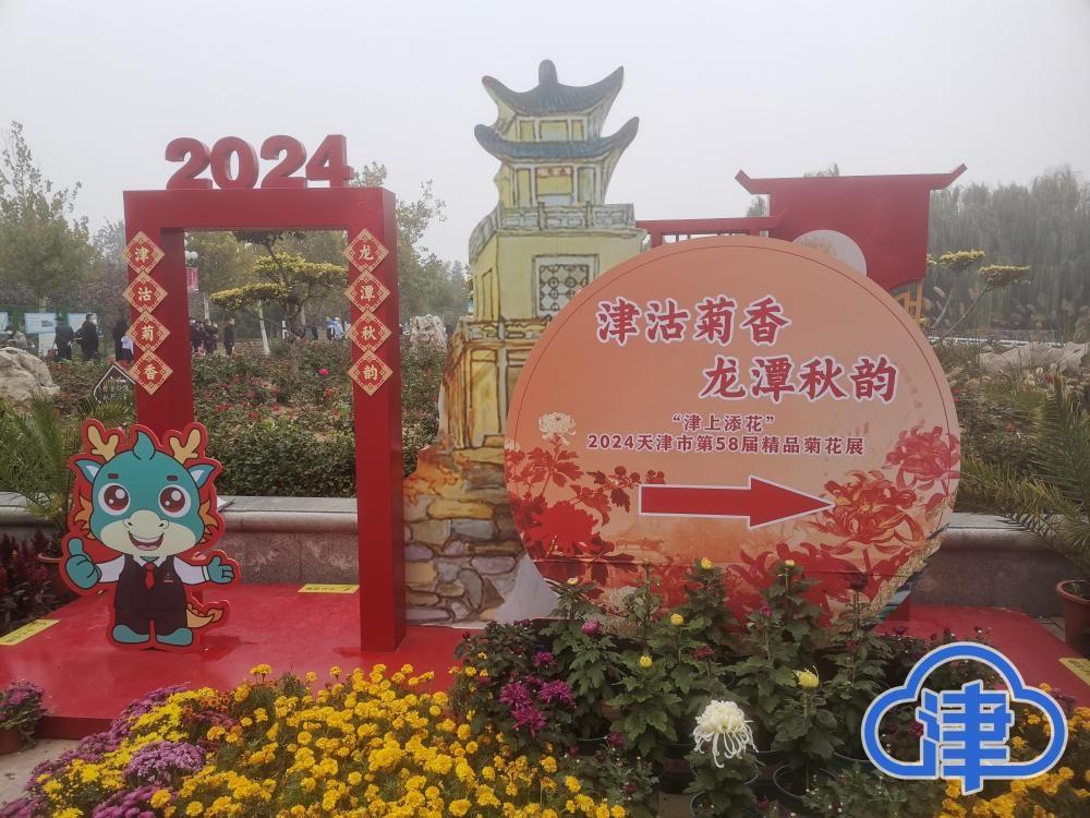 2 万余盆菊花亮相天津水上公园，你还不来一饱眼福？  第3张