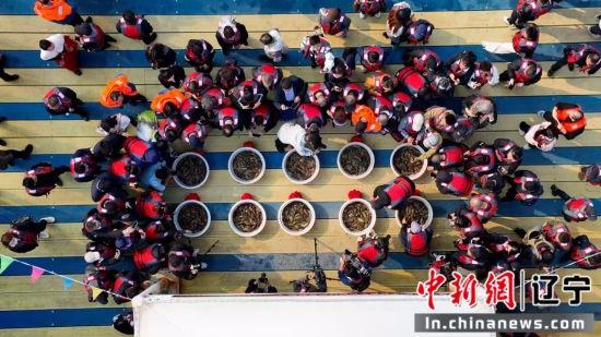 3 万余亩国家级海洋牧场海参产量将达 3000 万斤！平岛开启立体化养殖新模式  第2张