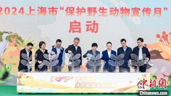 1997 只野生动物获收容救护！上海：同心守沪，共筑和谐生态之城  第1张