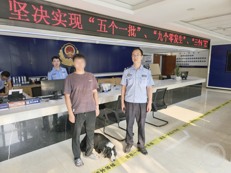 重庆一牧羊犬走失,派出所民警变身寻主达人,它能找到主人吗? 第2张 重庆一牧羊犬走失,派出所民警变身寻主达人,它能找到主人吗? 第2张