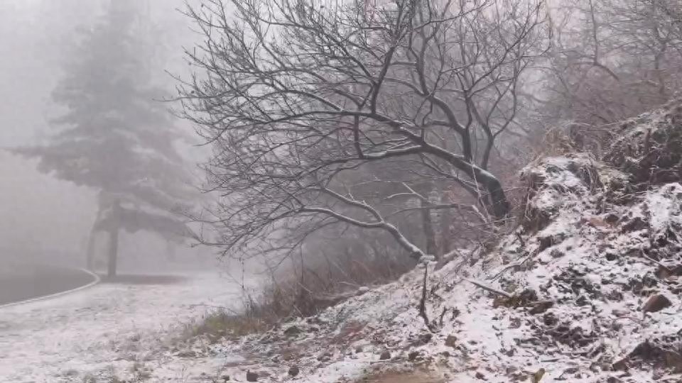 惊！2024年初冬淄博鲁山降雪，较去年晚14天  第1张