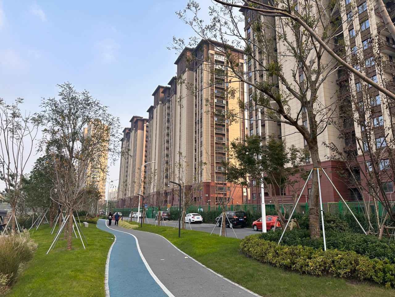 惊！嘉善兴贤路安置房周边绿道环通，从杂乱荒凉到步步皆绿  第4张