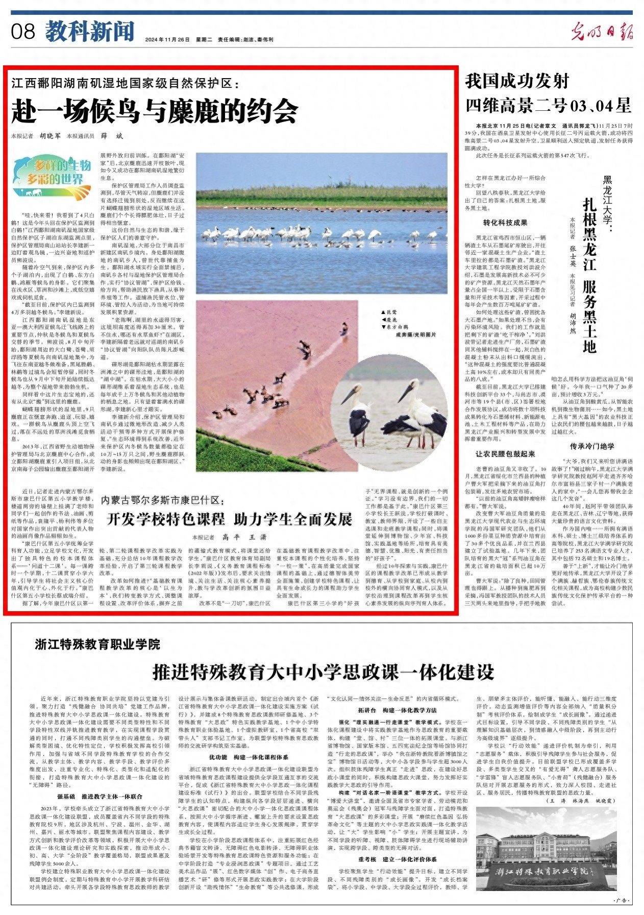 惊！江西鄱阳湖南矶湿地：4万多羽候鸟齐聚，能见白鹤