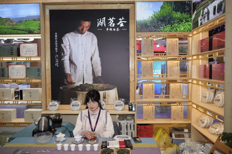 第五届长三角文博会新茶饮大会：探索行业无限可能，福建柘荣白茶招商推介同步开展  第2张