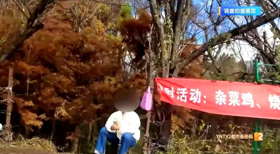 惊！昆明三家村水库村民私自收费，背后原因颠覆认知