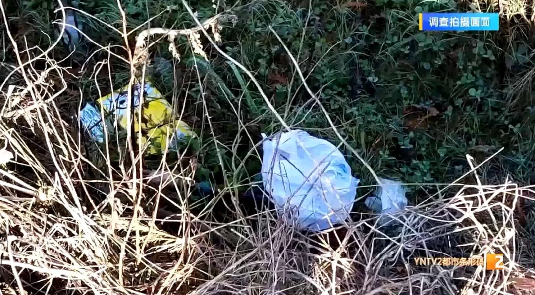 惊！昆明三家村水库村民私自收费，背后原因颠覆认知  第5张