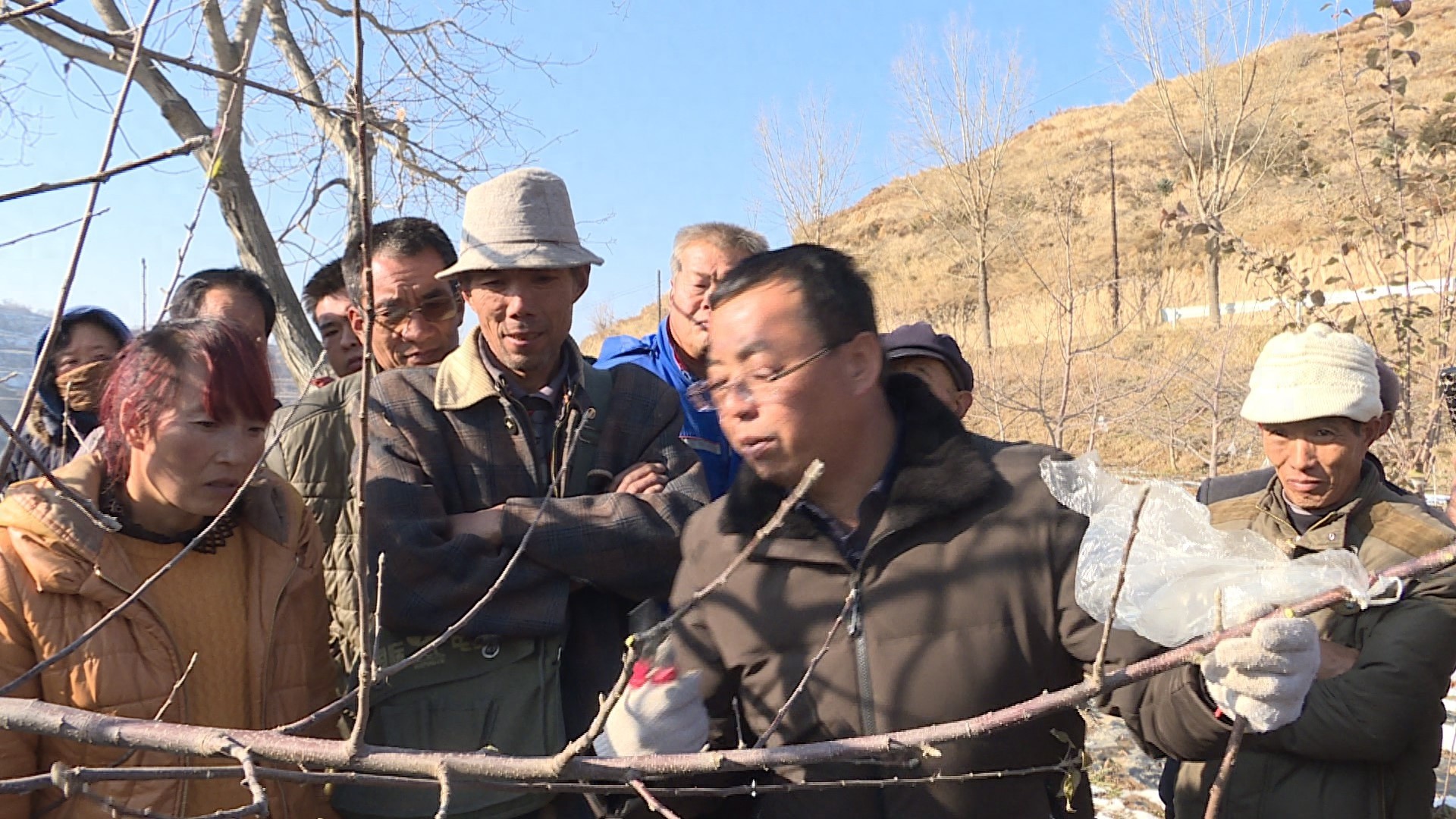 惊！初冬气温降低，看静宁果农如何保障来年苹果丰收？  第1张