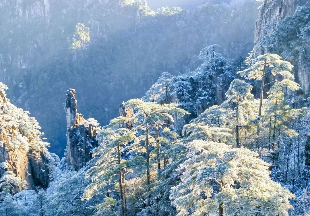 惊！黄山已迎今冬初雪，阜阳何时能下？暂无可能  第2张