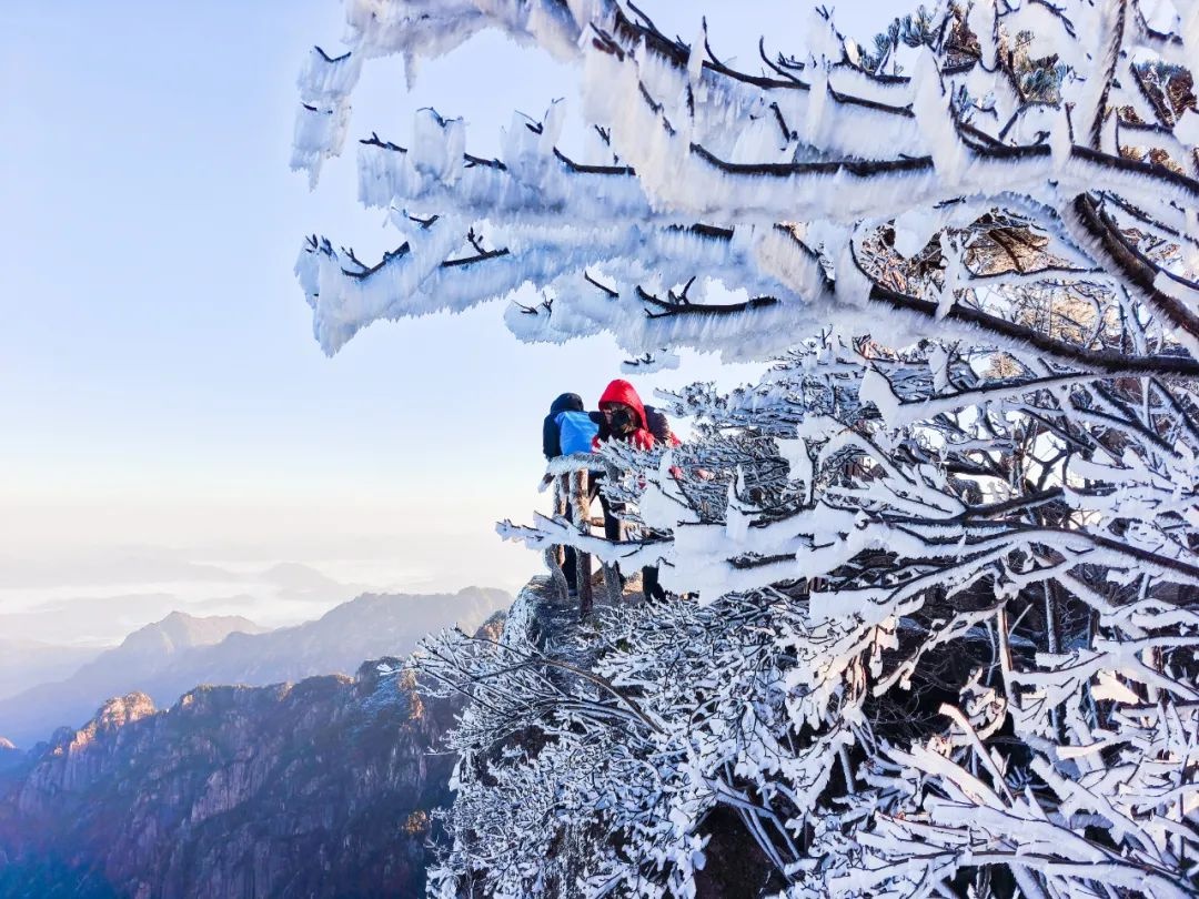 惊！黄山已迎今冬初雪，阜阳何时能下？暂无可能  第3张