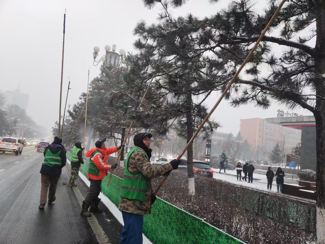 ?11月25日预警后，看市绿管中心如何备战首轮降雪  第3张