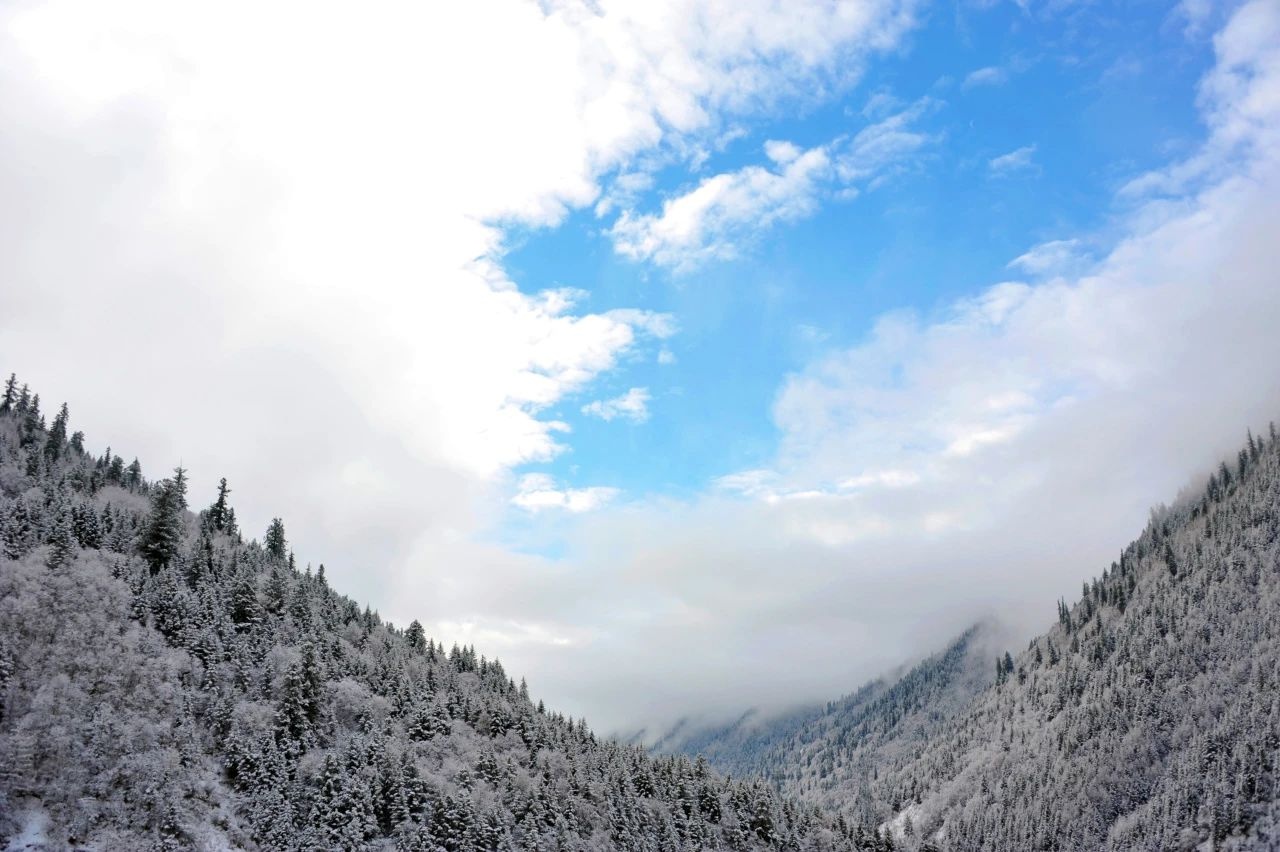 寒潮来袭，阿坝交通人闻雪而动：一场冰雪中的守护与温暖  第2张