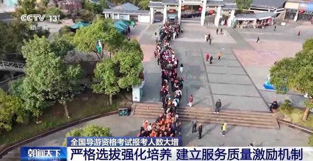 31万人争相报考导游资格考试，背后隐藏的真相让人  第3张