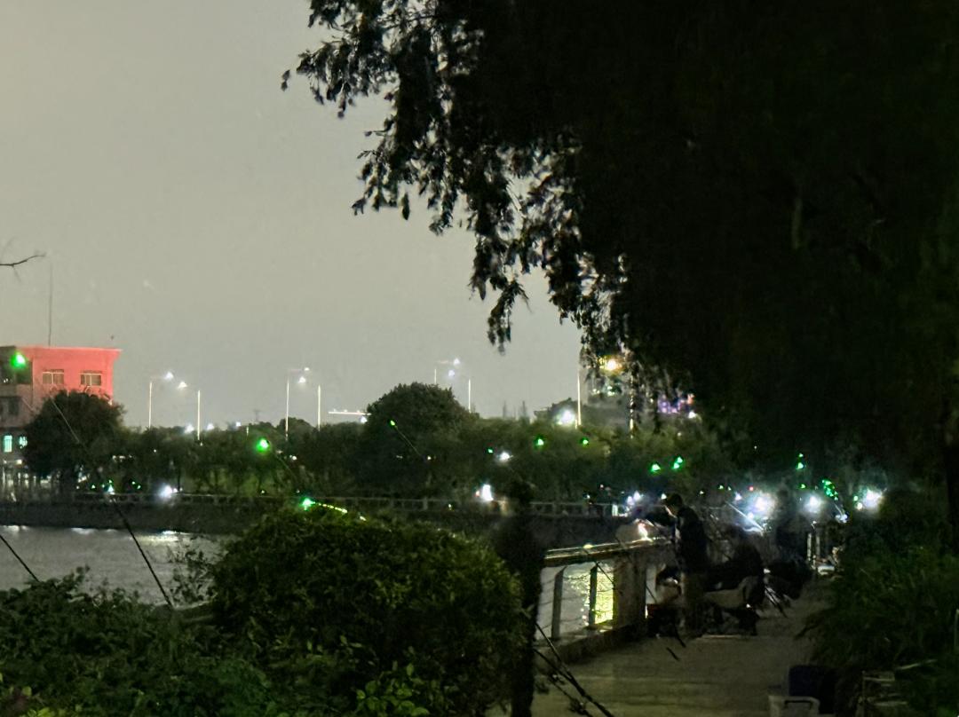 东江夜钓野螃蟹火爆！一晚40余只，钓不完的蟹逅等你来体验  第2张
