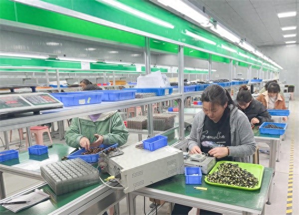 淮安科明电子新厂房内，机器轰隆，人影绰绰，繁忙有序的生产现场揭示了什么？  第1张