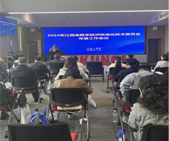 揭秘江西数字经济新动向：标准化引领未来，三大举措助力腾飞  第1张