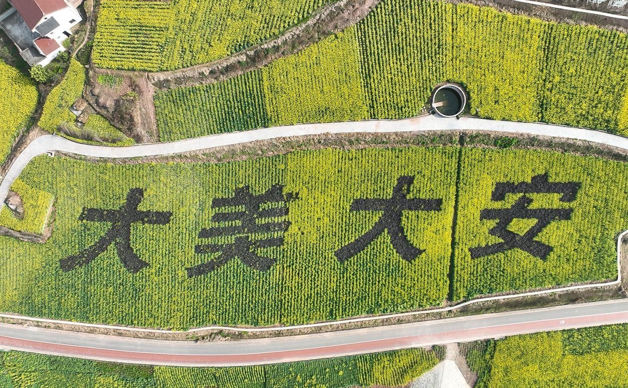 四川自贡大安区：农旅融合与产业强链双轮驱动，乡村振兴新画卷徐徐展开  第4张