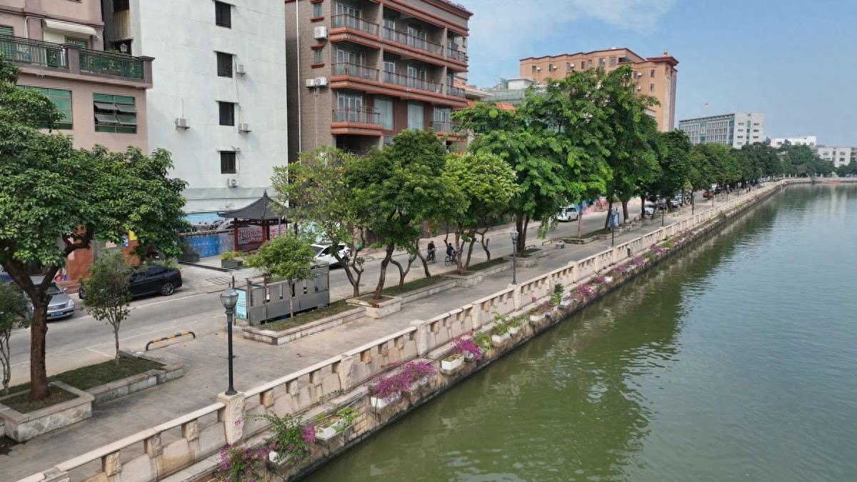 沙田镇湖西路华丽蜕变：红花绿叶交织，中式凉亭点缀，市民休闲新天地