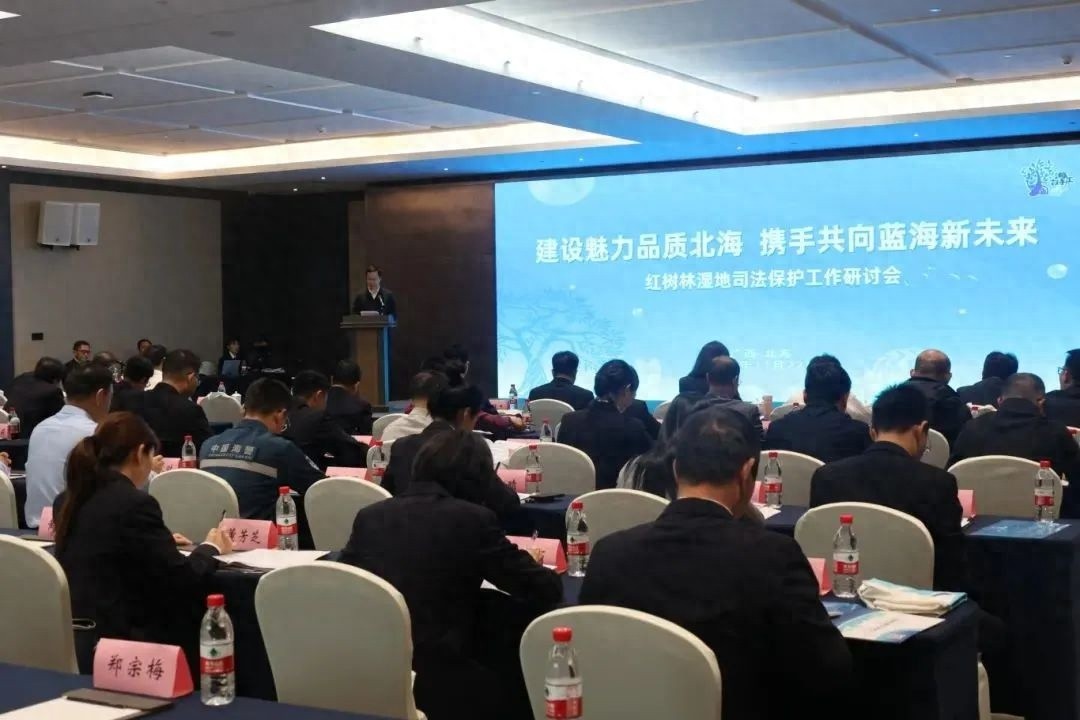 红树林湿地司法保护研讨会：四省联手，共筑蓝色生态未来  第1张