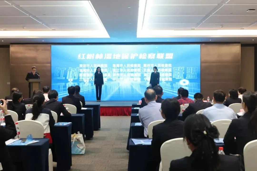 红树林湿地司法保护研讨会：四省联手，共筑蓝色生态未来  第2张