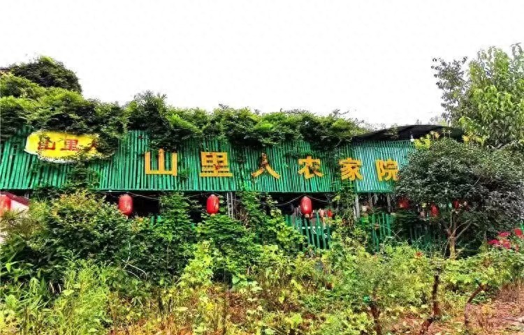 90后夫妻放弃城市繁华，回乡打造世外桃源农家乐，生意火爆引爆旅游热潮