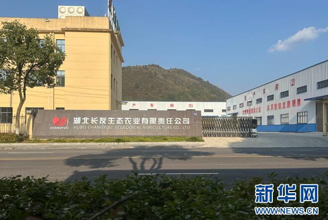 湖北鹤峰经济开发区技改项目激增，箬叶烘干效率提升8倍，企业改造升级迎来新突破  第2张