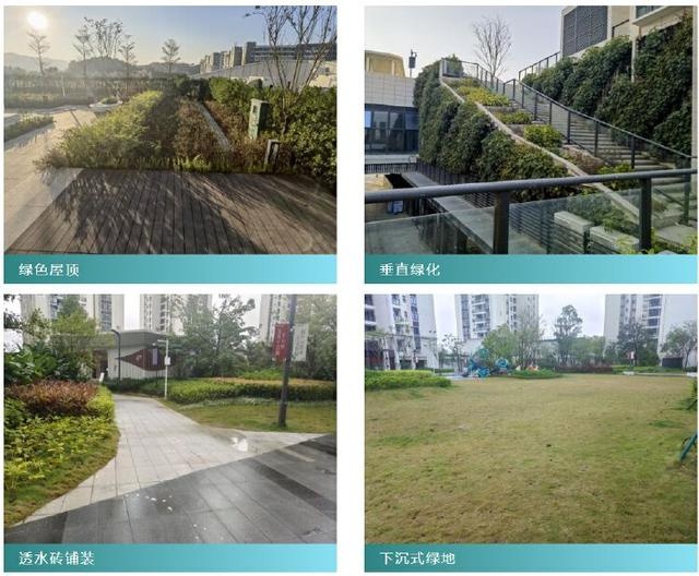 深圳深汕特别合作区海绵城市建设：45个项目刷新城市颜值，13个典范项目引领未来  第3张