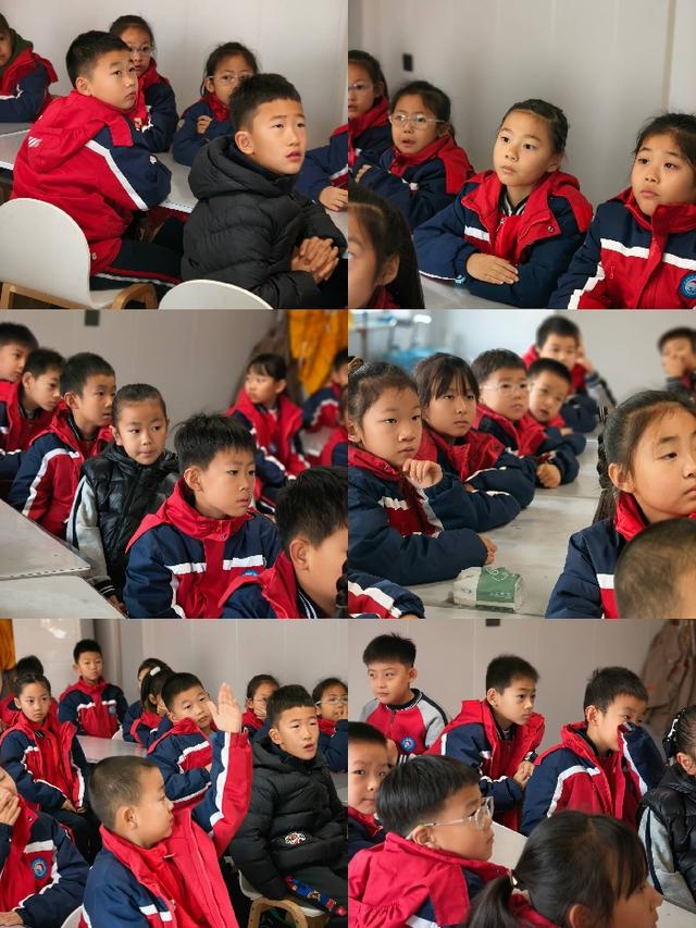 ?滨城清怡小学活动：2023级11班古法窑鸡之旅大揭秘  第2张