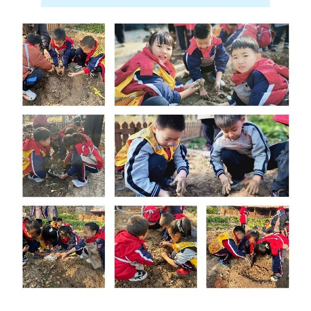 ?滨城清怡小学活动：2023级11班古法窑鸡之旅大揭秘  第5张