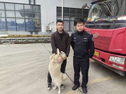 宠物狗走失，民警追踪24小时，最终在漂染厂区附近找到  第1张
