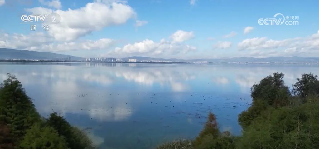 冬日暖阳下的候鸟盛宴：云南高原湖泊迎来万只候鸟，黑鹳现身黄河湿地  第2张